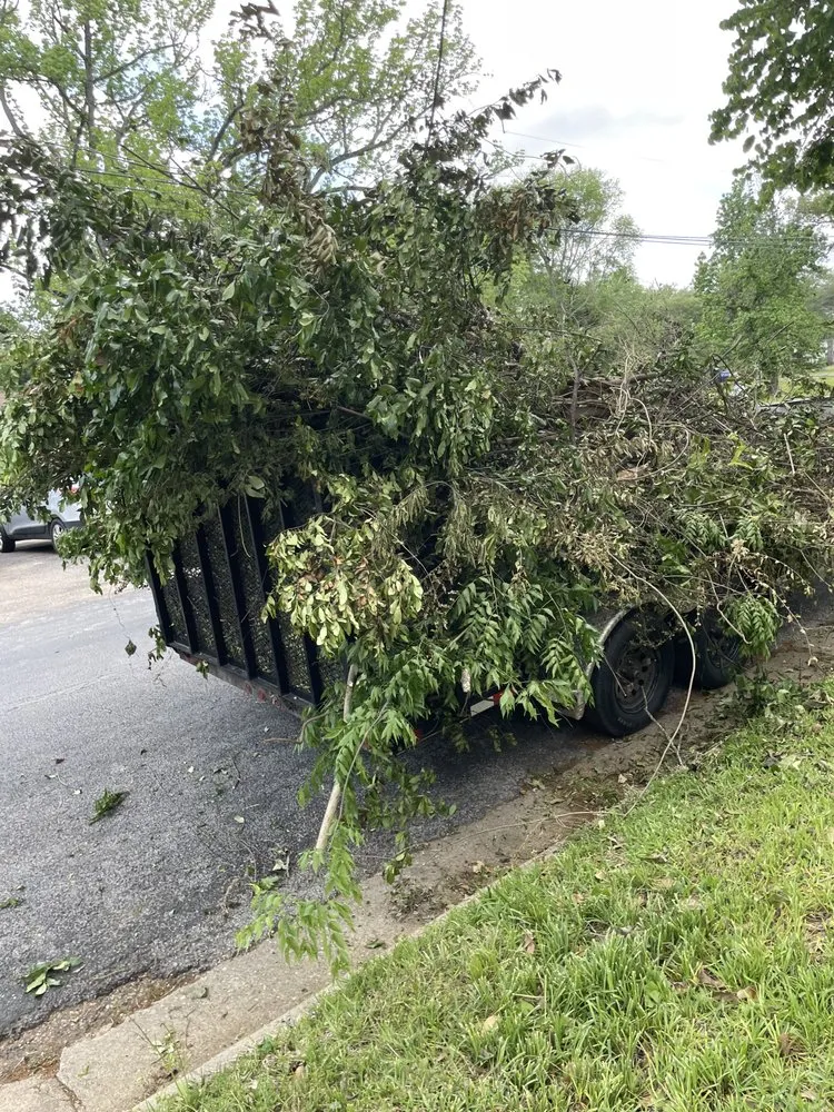 Custom residential landscaping in Tyler, TX - Lawn Care Services