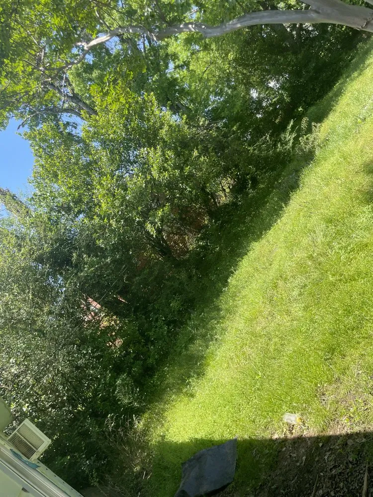 Trusted outdoor landscaping near you in Tyler, TX by Lawn Care Services