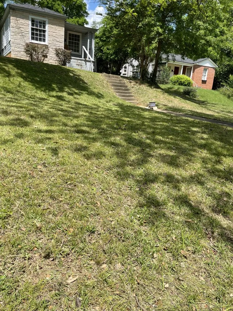 Trusted lawn care service in Tyler, TX - Lawn Care Services