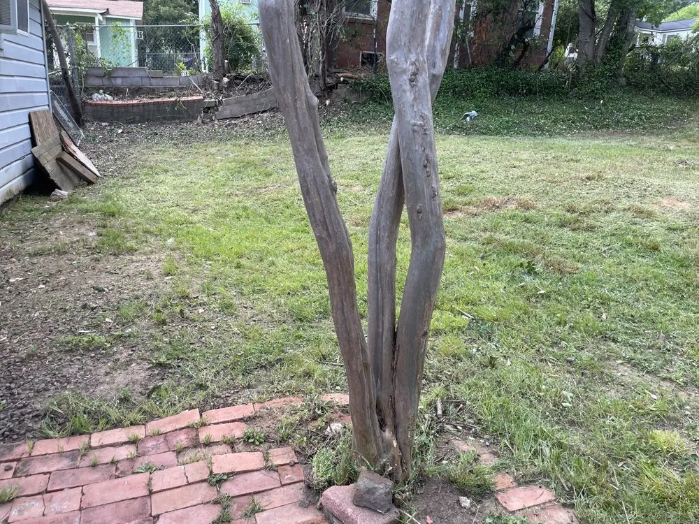 Reliable lawn mowing service for year-round maintenance in Tyler, TX by Lawn Care Services