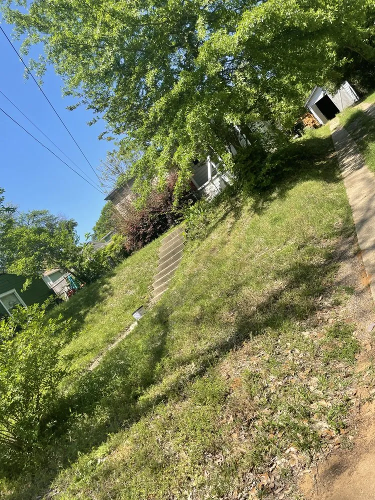 Reliable lawn mowing service in Tyler, TX by Lawn Care Services