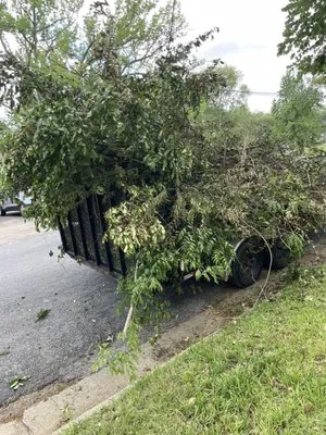Lawn Care Services Logo