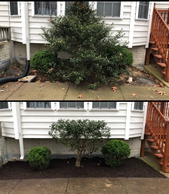 Affordable residential landscaping in Fredericksburg, VA by Lawn Care Solution