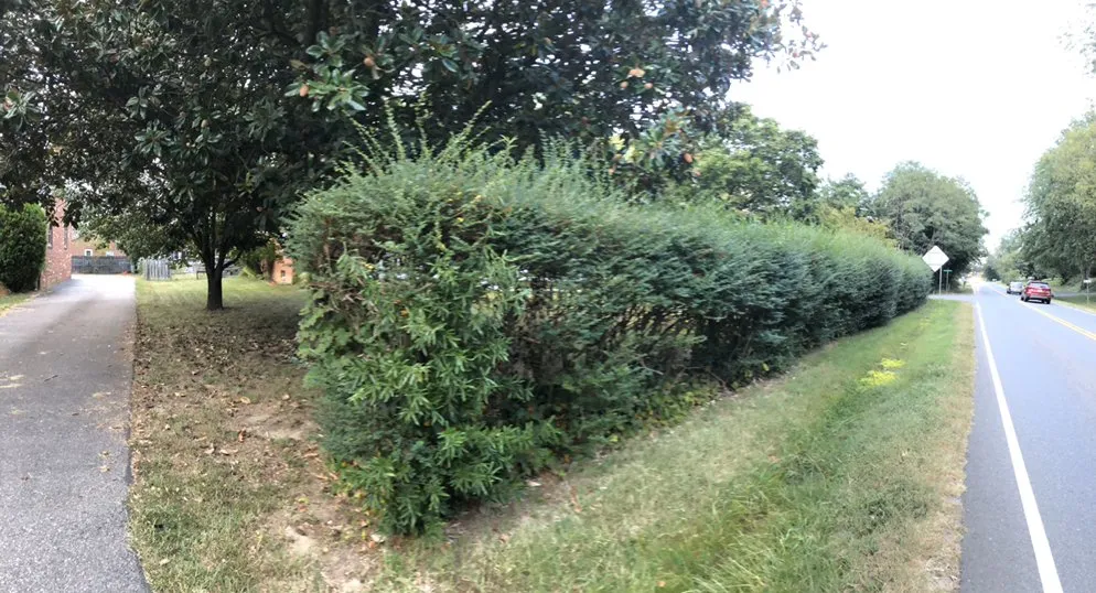 Custom landscape installation in Fredericksburg, VA - Lawn Care Solution