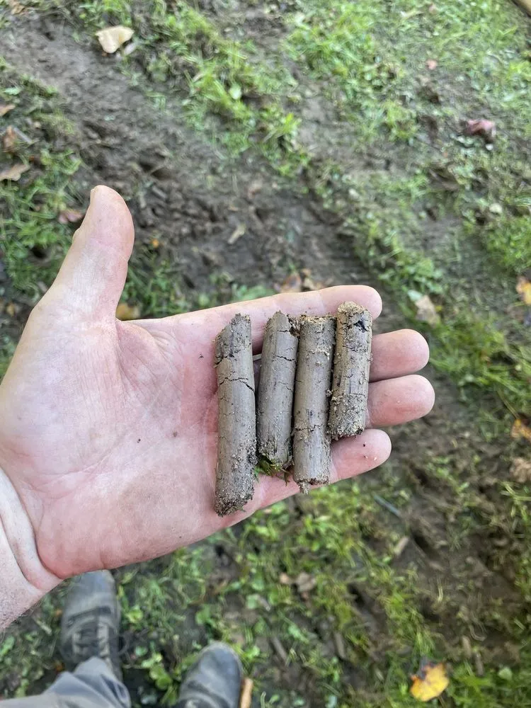 Expert lawn care service near you across Fredericksburg, VA - Lawn Care Solution