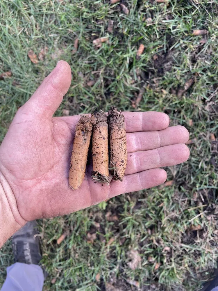 Local landscape installation for outdoor upgrades across Fredericksburg, VA - Lawn Care Solution