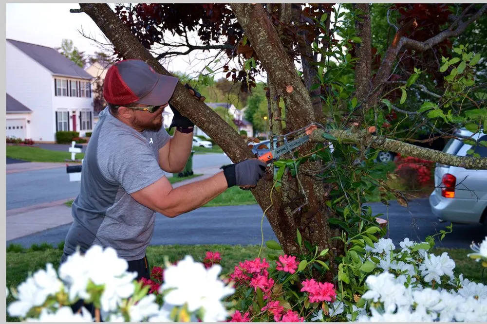 Trusted garden landscaping near you across Fredericksburg, VA - Lawn Care Solution
