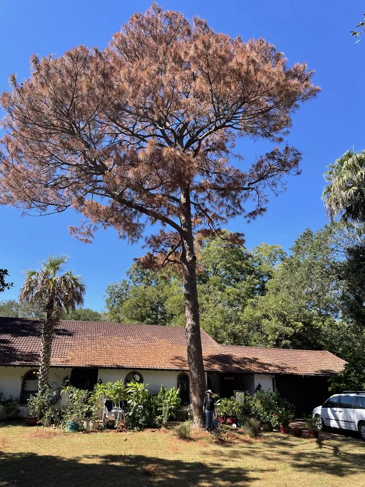 Professional garden landscaping in Rosharon, TX by Lawn Care Specialist