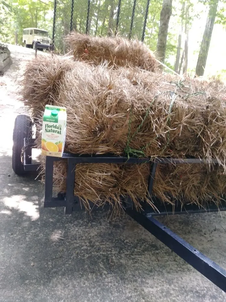 Affordable lawn care service for beautiful yards across Troy, NC - Lawn Care Specialist