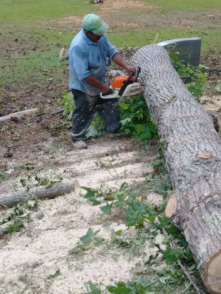 Local landscaping services with custom design in Troy, NC by Lawn Care Specialist