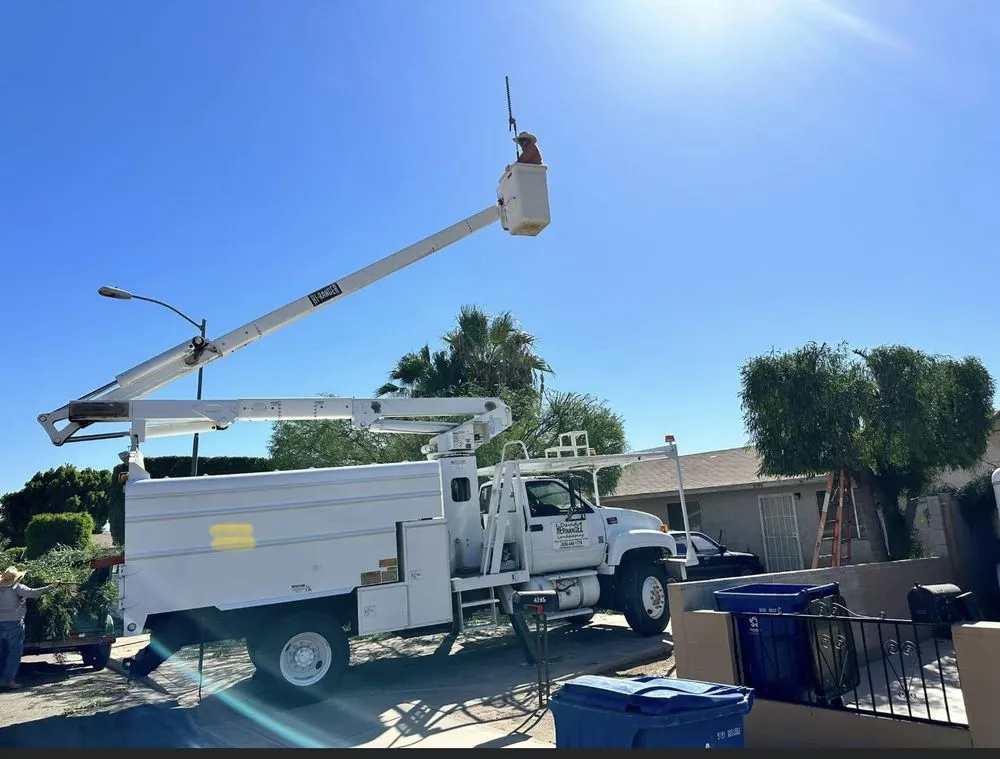 Affordable landscape design for homes in Yuma, AZ by Lawn Care Specialist