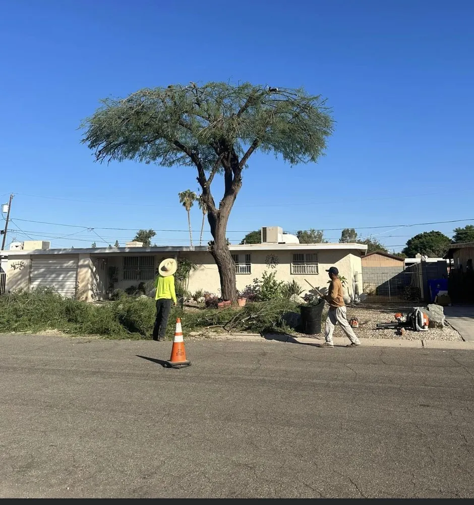 Affordable residential landscaping in Yuma, AZ by Lawn Care Specialist