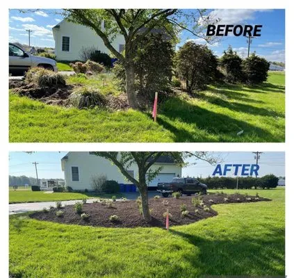 Lawn Care Specialist Logo