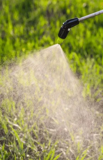 Custom landscape design near you in Myrtle Beach, SC by Lawn Care Specialists of Myrtle Beach