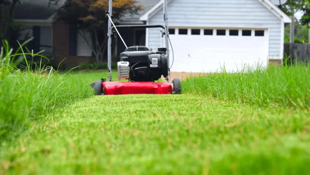 Professional lawn mowing service experts serving Myrtle Beach, SC - Lawn Care Specialists of Myrtle Beach