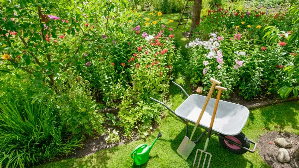 Reliable outdoor landscaping for homes in Myrtle Beach, SC by Lawn Care Specialists of Myrtle Beach