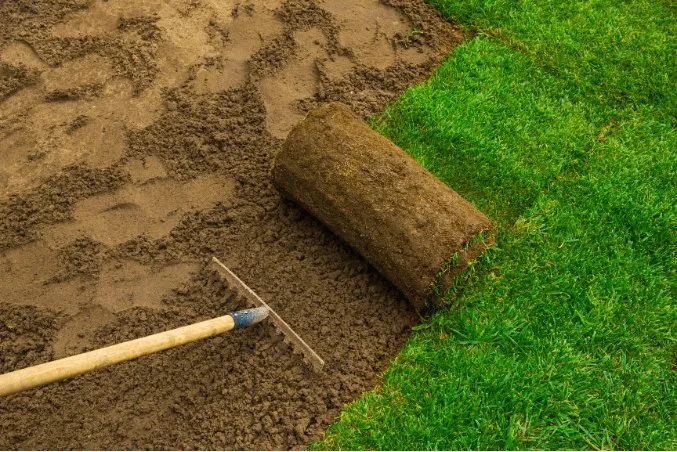 Expert outdoor landscaping for outdoor upgrades across Myrtle Beach, SC - Lawn Care Specialists of Myrtle Beach