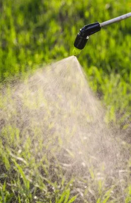 Lawn Care Specialists of Myrtle Beach Logo