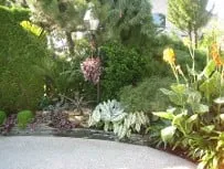 Trusted yard cleanup service in Staten Island, NY by Lawn Care