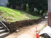 Local landscaping services experts serving Staten Island, NY - Lawn Care