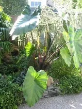 Expert landscaping services experts serving Staten Island, NY - Lawn Care