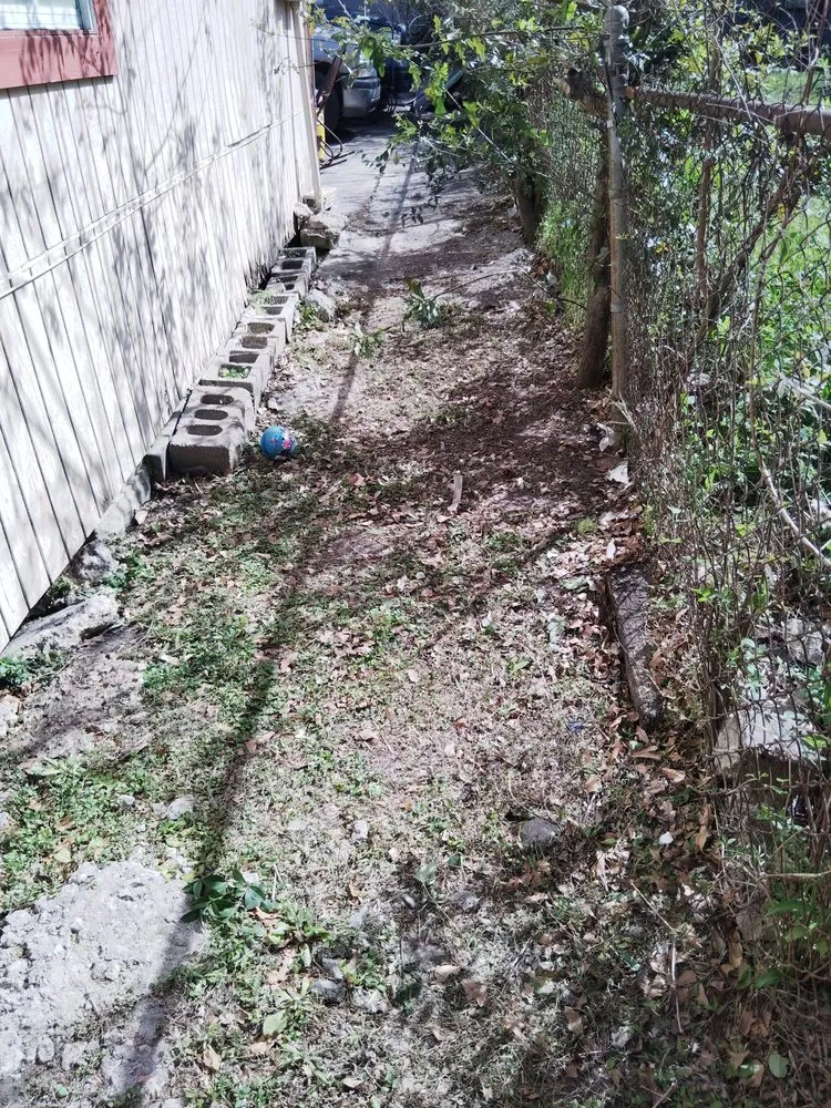 Top-rated yard cleanup service for homes across South Houston, TX - Lawn Care the Charm