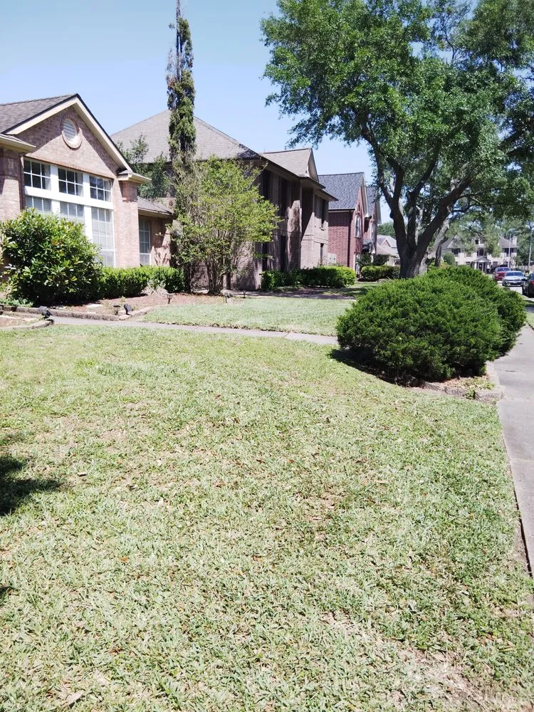 Trusted landscape installation in South Houston, TX - Lawn Care the Charm