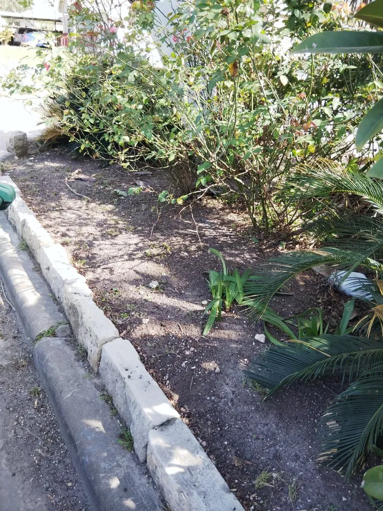 Local yard maintenance in South Houston, TX by Lawn Care the Charm