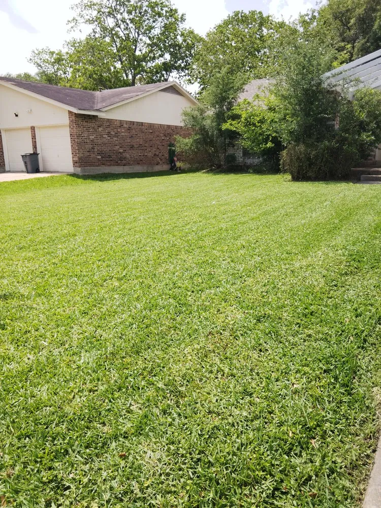 Reliable lawn care service in South Houston, TX - Lawn Care the Charm