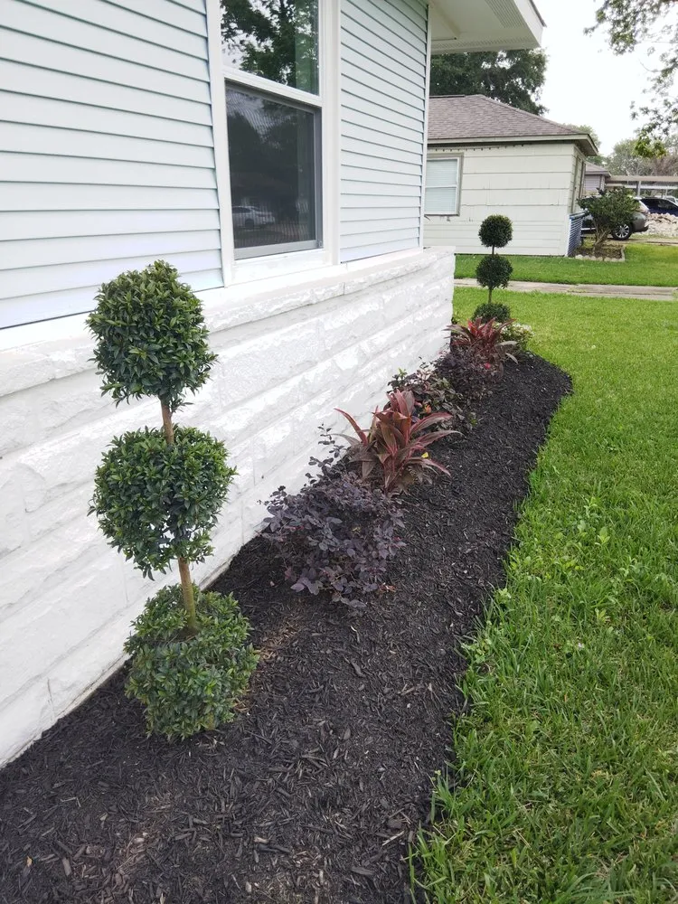 Top-rated lawn mowing service for outdoor upgrades across South Houston, TX - Lawn Care the Charm