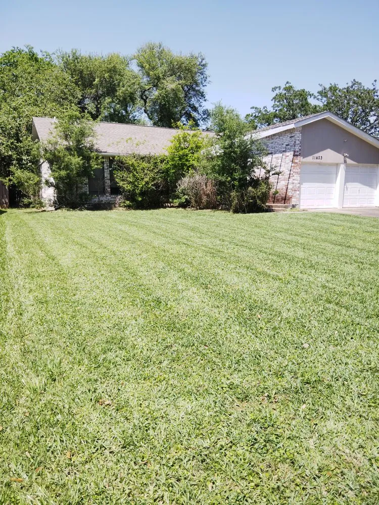 Professional landscaping services in South Houston, TX by Lawn Care the Charm