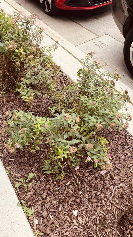 Trusted outdoor landscaping for beautiful yards across Milwaukee, WI - Lawn Care Unlimited