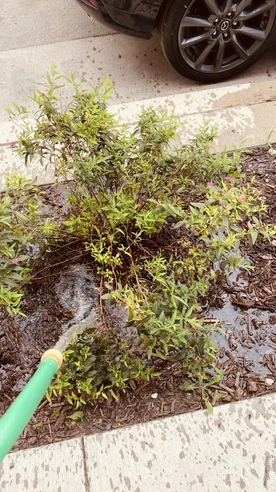 Trusted yard maintenance for beautiful yards in Milwaukee, WI by Lawn Care Unlimited