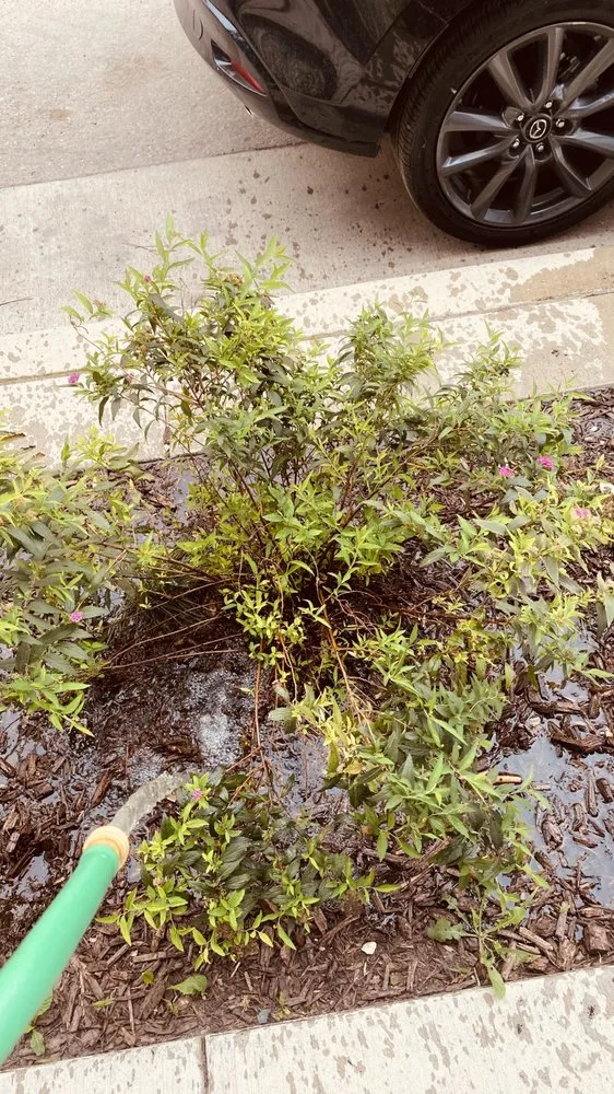 Custom outdoor landscaping experts serving Milwaukee, WI - Lawn Care Unlimited