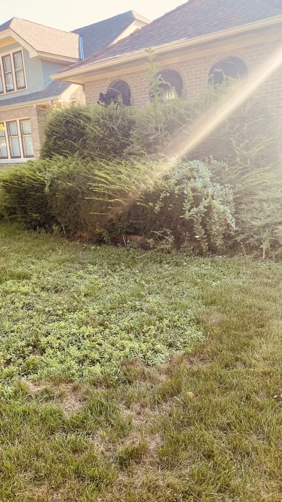 Trusted lawn mowing service with custom design across Milwaukee, WI - Lawn Care Unlimited