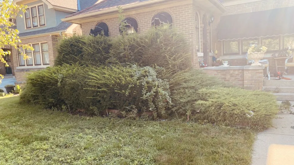 Custom outdoor landscaping with custom design in Milwaukee, WI by Lawn Care Unlimited