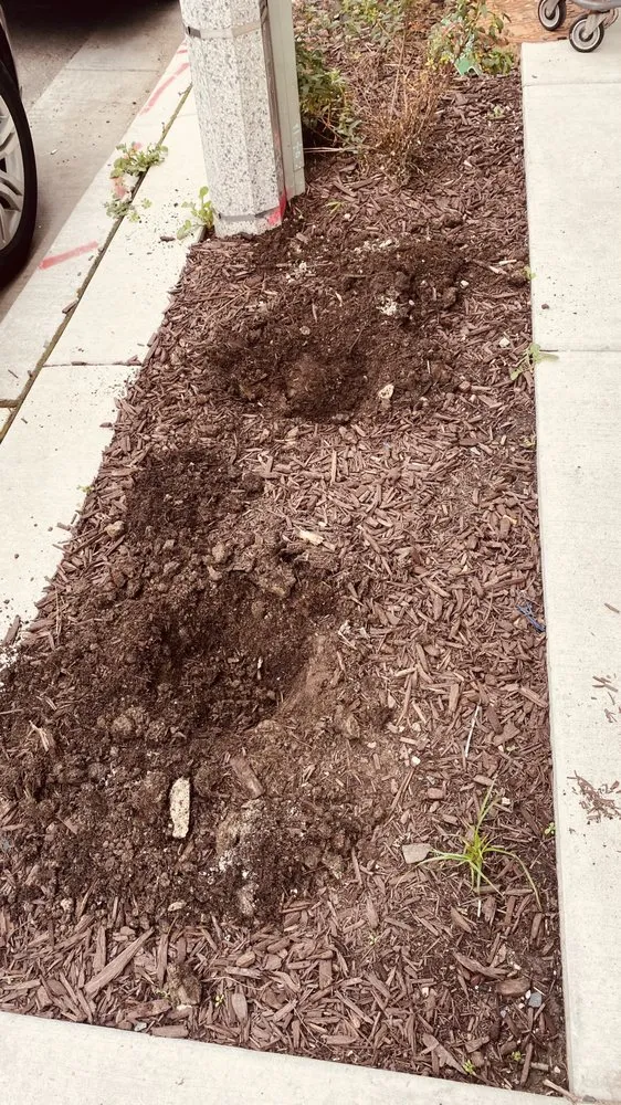 Trusted lawn mowing service for year-round maintenance across Milwaukee, WI - Lawn Care Unlimited