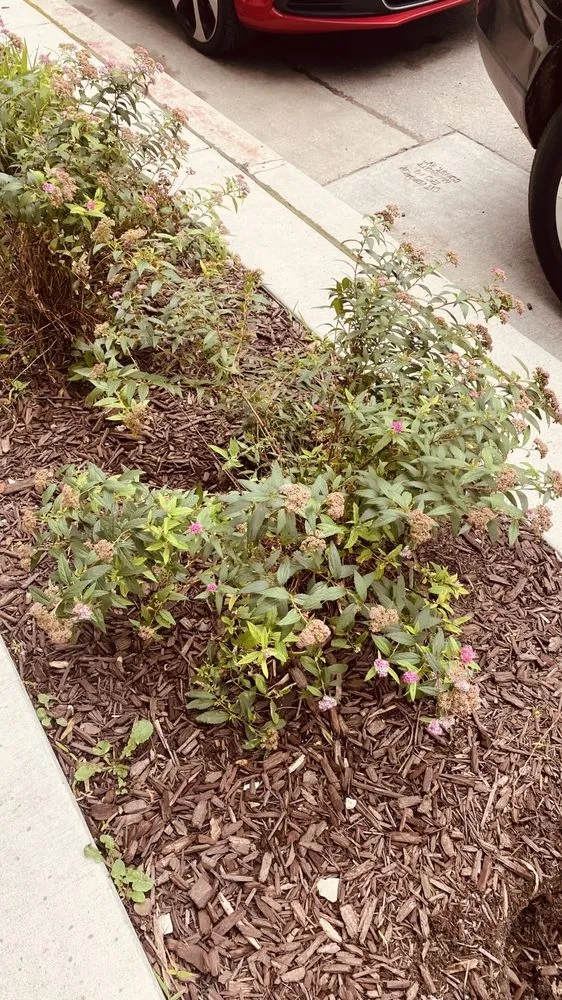 Local landscape installation for residential properties across Milwaukee, WI - Lawn Care Unlimited