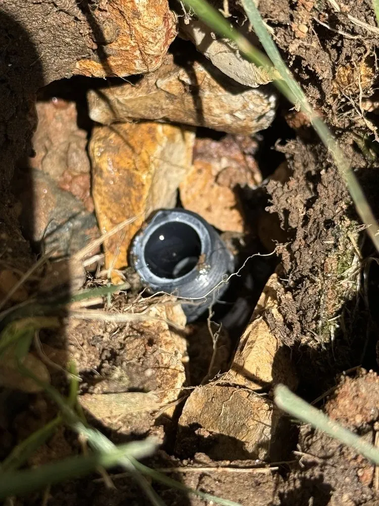 Professional residential landscaping experts serving Sacramento, CA - Lawn Care Up