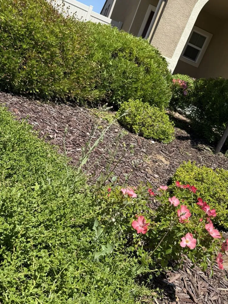 Expert outdoor landscaping in Sacramento, CA - Lawn Care Up