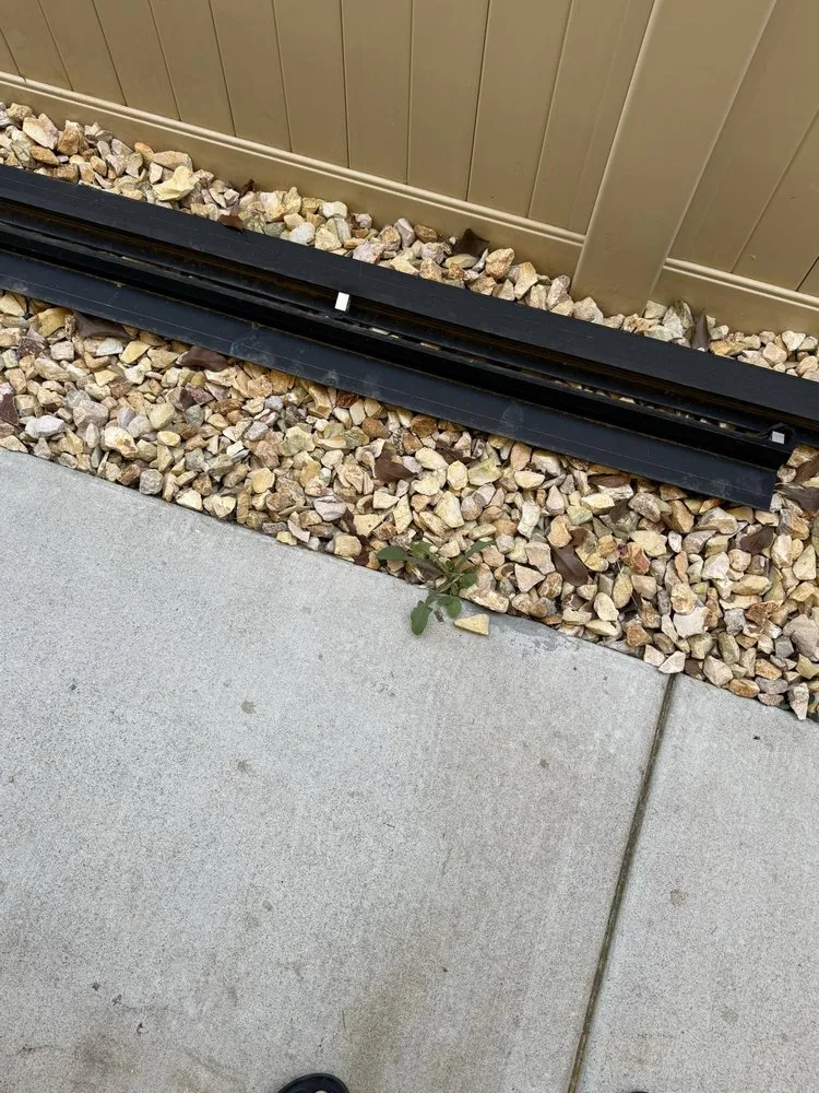 Affordable residential landscaping for beautiful yards across Sacramento, CA - Lawn Care Up