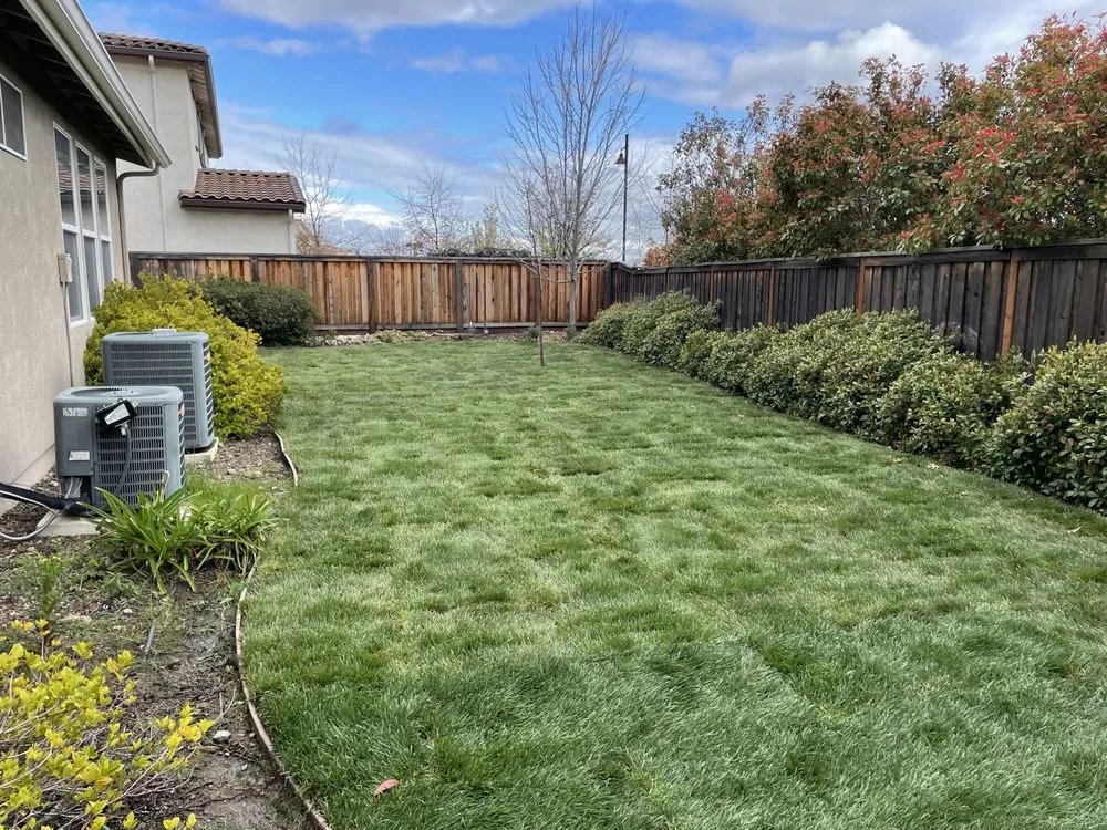 Trusted landscaping services in Sacramento, CA by Lawn Care Up