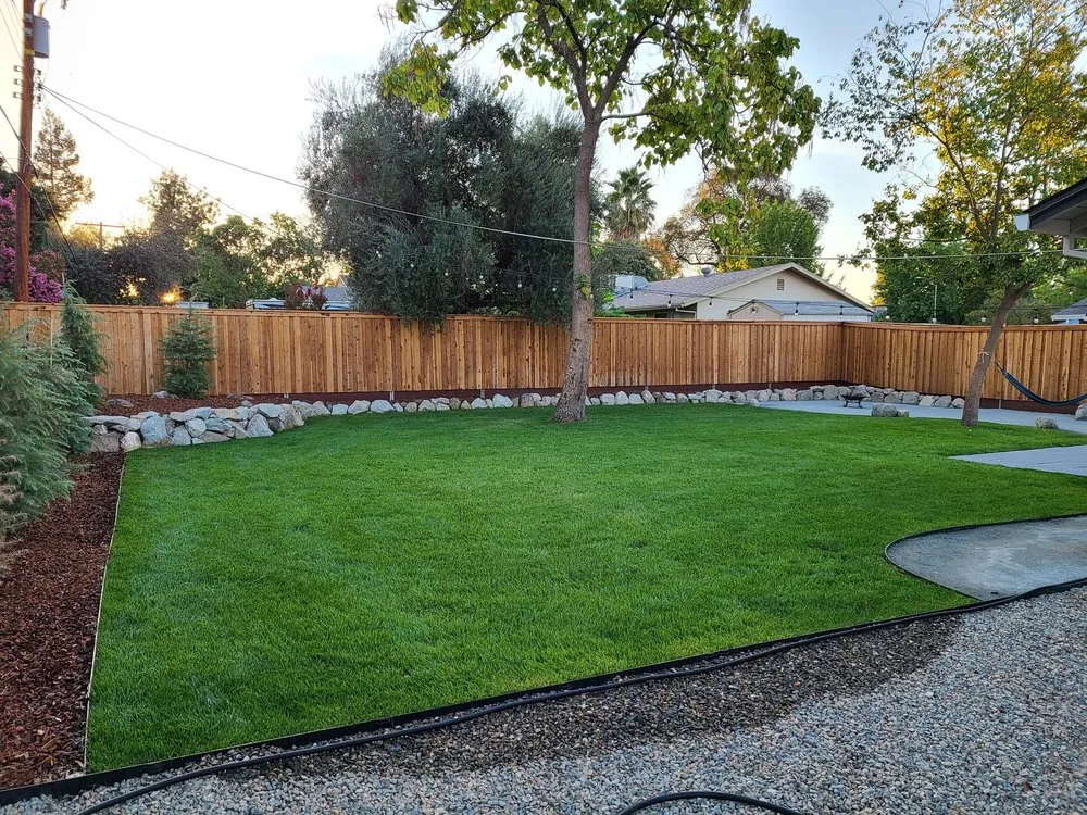 Reliable yard cleanup service experts serving Sacramento, CA - Lawn Care Up