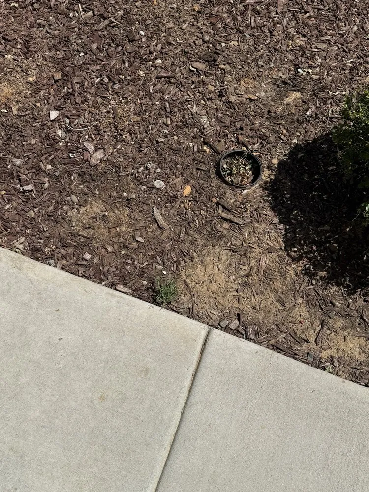 Custom landscape design in Sacramento, CA - Lawn Care Up