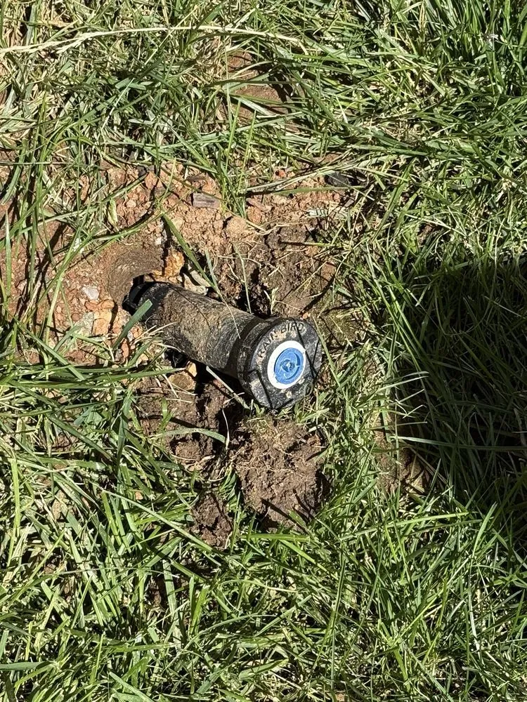 Local residential landscaping in Sacramento, CA by Lawn Care Up