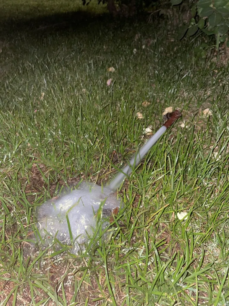 Custom residential landscaping in Sacramento, CA - Lawn Care Up