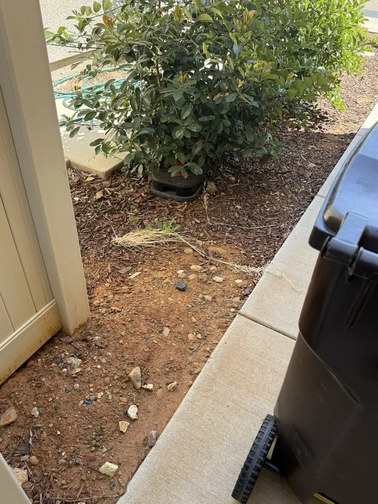 Top-rated yard cleanup service for residential properties across Sacramento, CA - Lawn Care Up