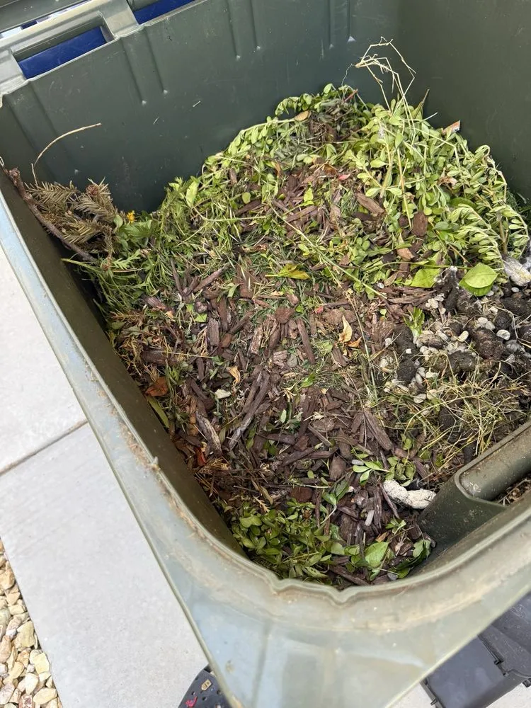 Trusted yard cleanup service experts serving Sacramento, CA - Lawn Care Up