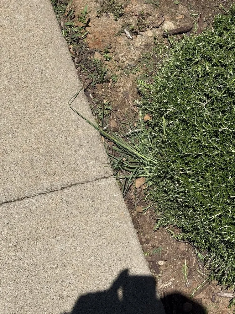 Local yard cleanup service experts serving Sacramento, CA - Lawn Care Up