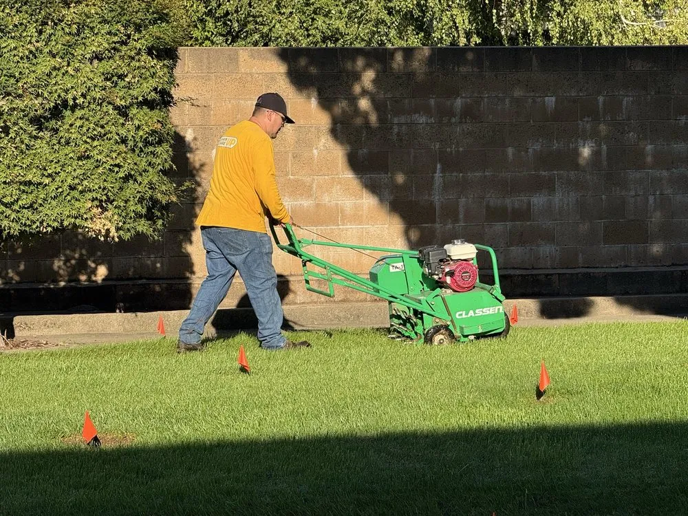 Local landscape installation in Sacramento, CA by Lawn Care Up